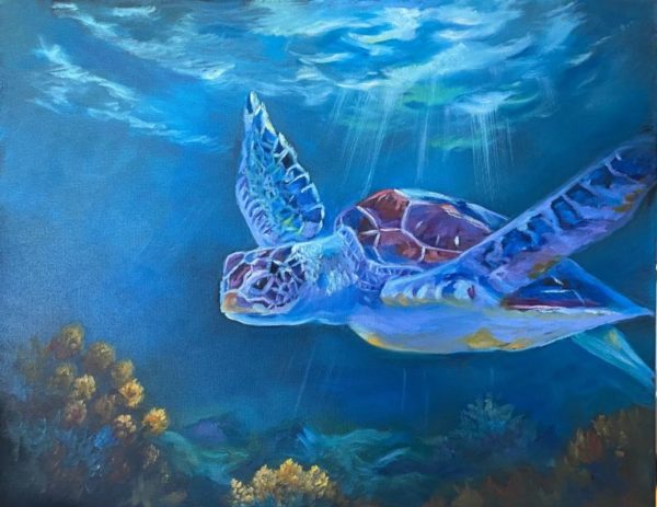 Sea Turtle (20" x 16")