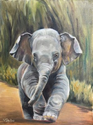 Baby Elephant (12" x 16")