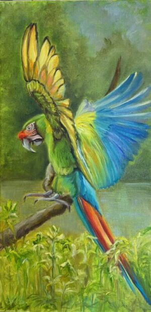 Parrot in Flight (10"x 20")