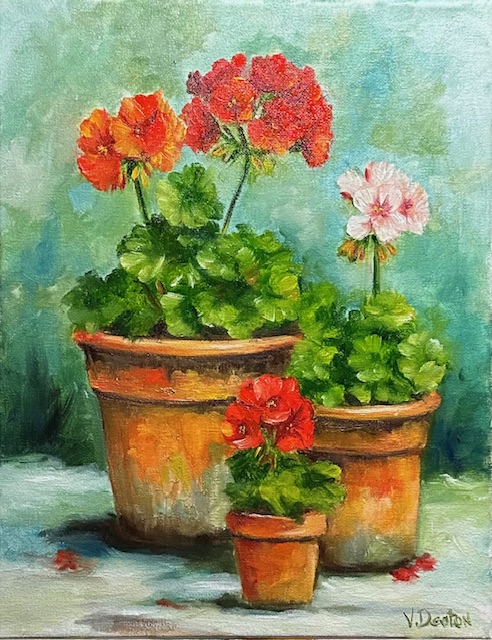 Potted Geraniums (11"x 14")